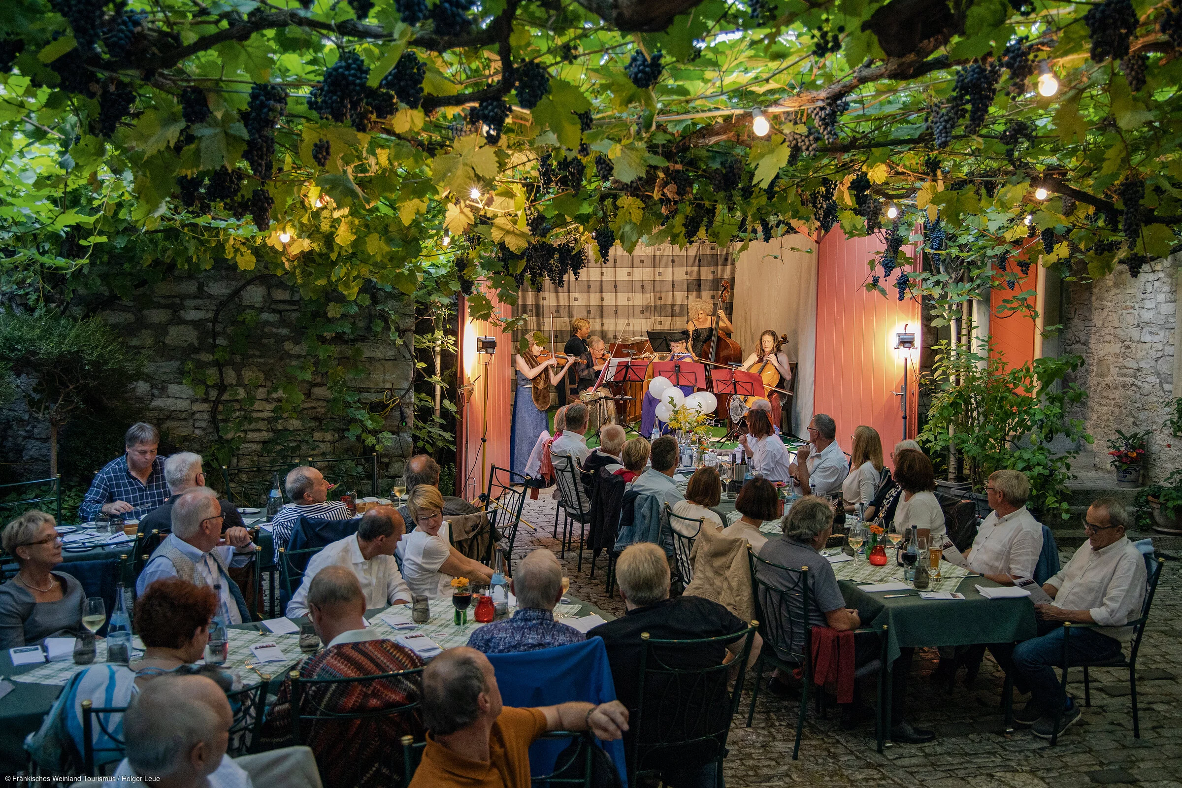 Weingenuss im Weingut Glaser-Himmelstoß (Dettelbach/Fränkisches Weinland)