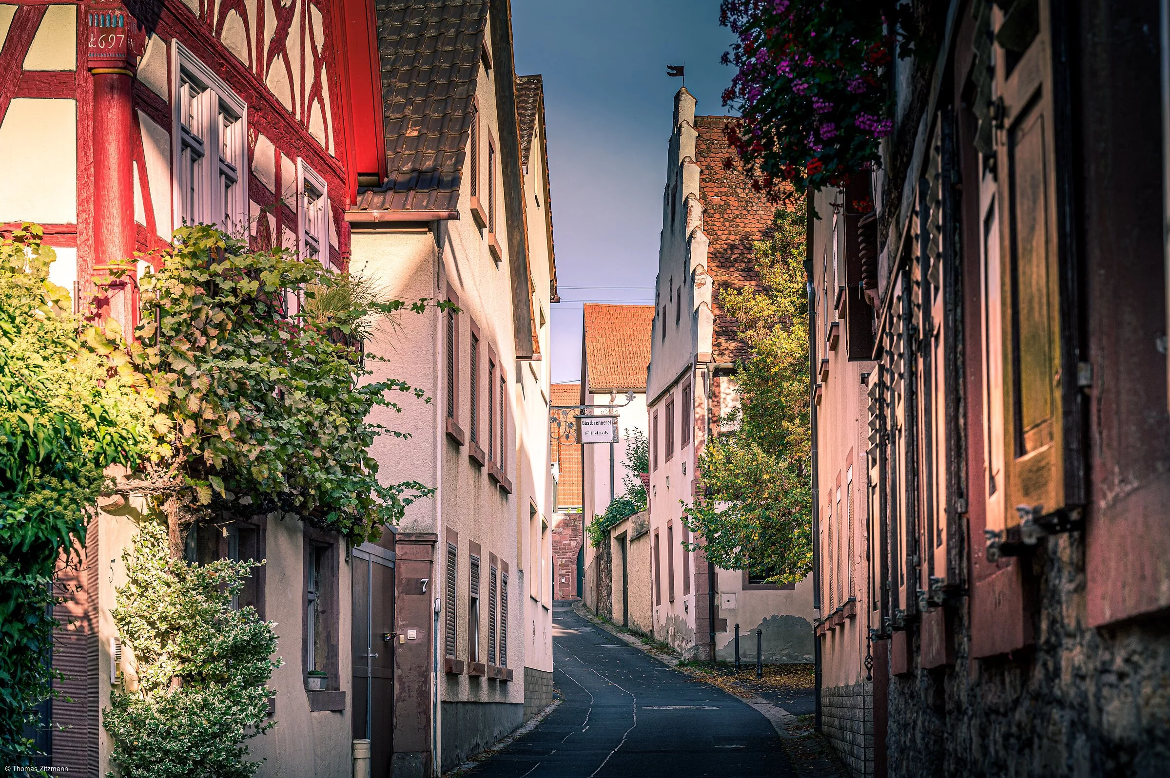 Altort (Thüngersheim, Fränkisches Weinland)