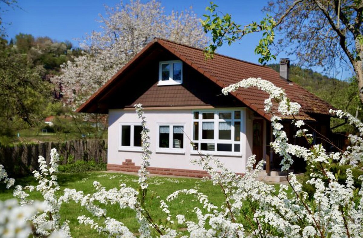 Ferienhaus Urlaub am Main (Wertheim, Liebliches Taubertal)