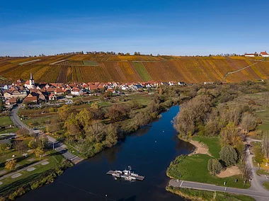 Mainfähre zwischen Nordheim a.Main und Escherndorf (Nordheim a.Main/Fränkisches Weinland)