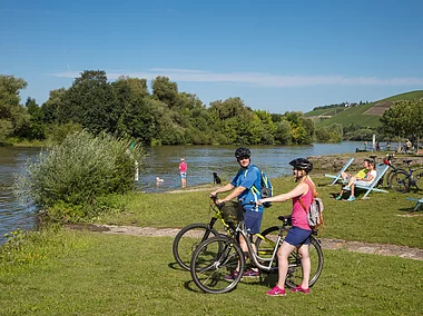 Am MainRadweg (Randersacker/Fränkisches Weinland)