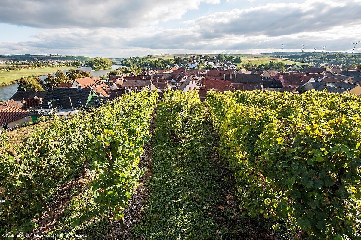 Ortsansicht (Wipfeld, Fränkisches Weinland)