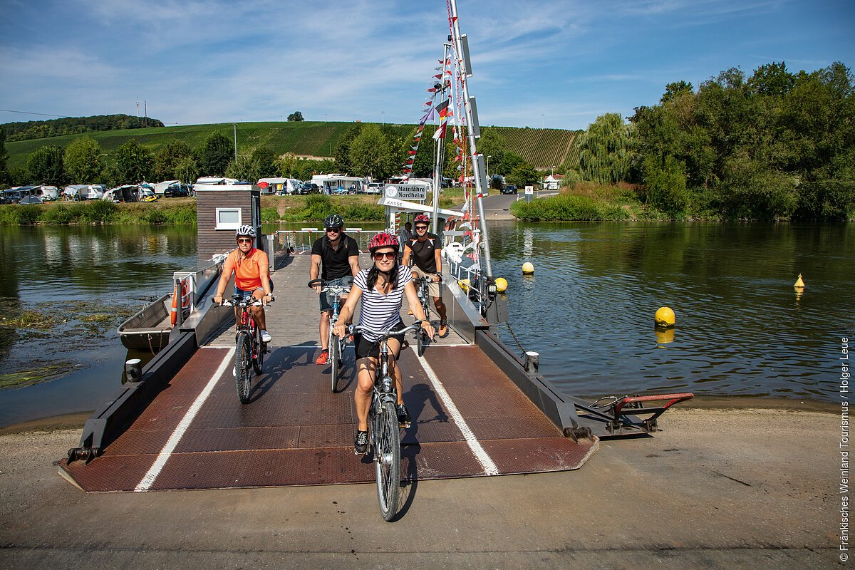 Radfahrer auf der Mainfähre (Nordheim a. Main/Fränkisches Weinland)