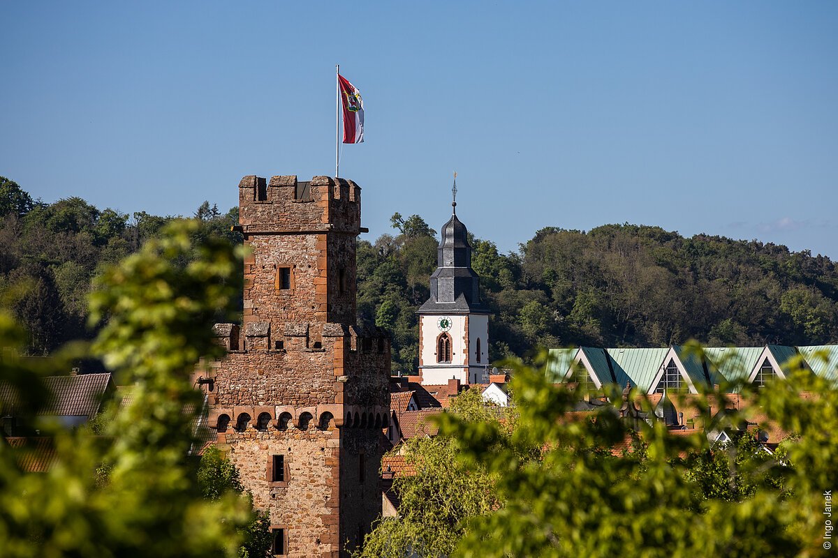 Panoramablick (Obernburg a.Main, Spessart-Mainland)