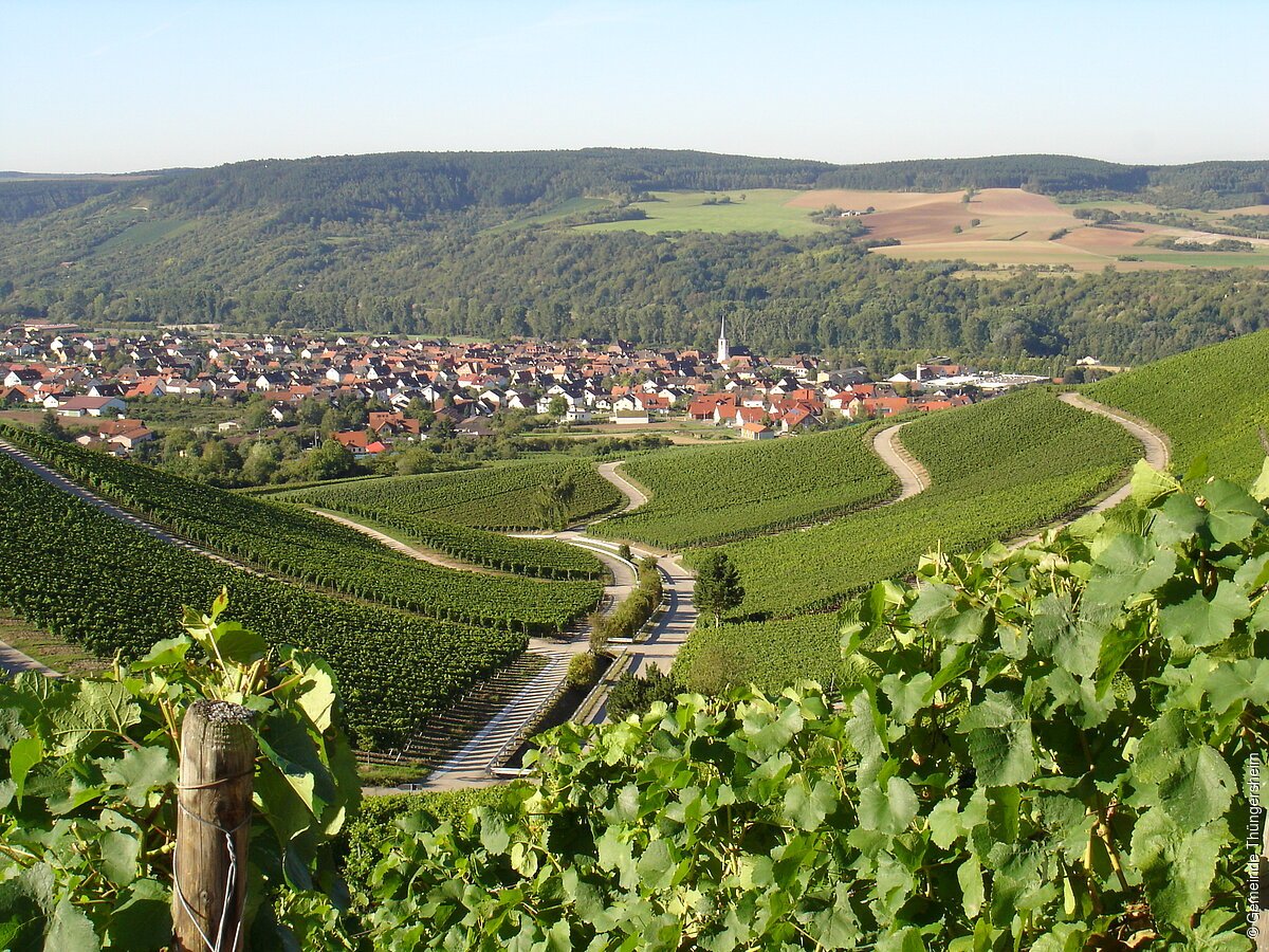 Ortsansicht mit Weinbergen (Thüngersheim, Fränkisches Weinland)