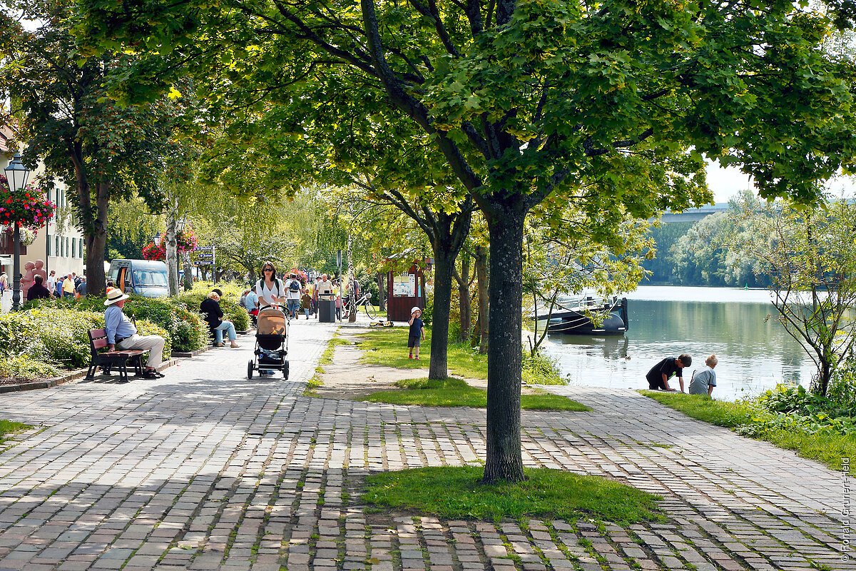 Mainlände (Veitshöchheim, Fränkisches Weinland)