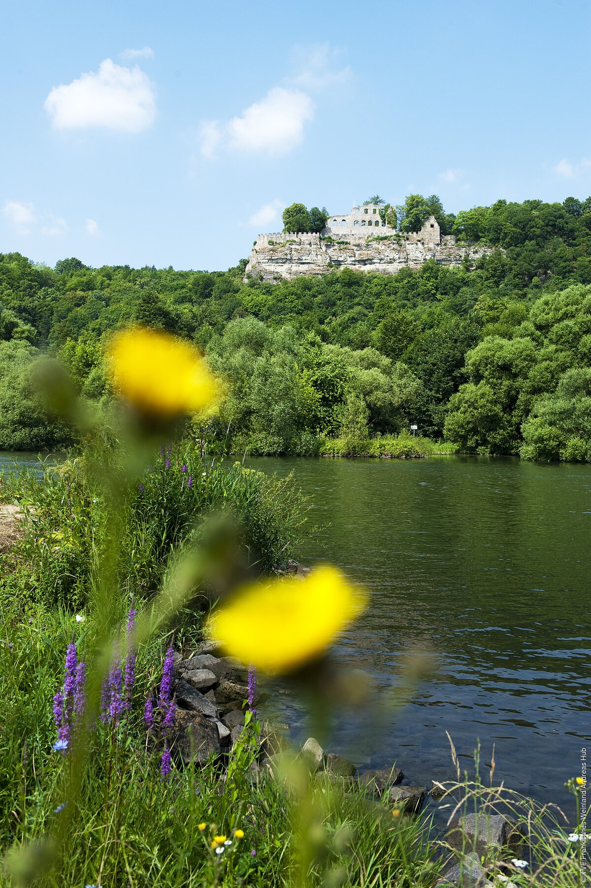 Ruine Karlsburg (Karlstadt, Fränkisches Weinland)