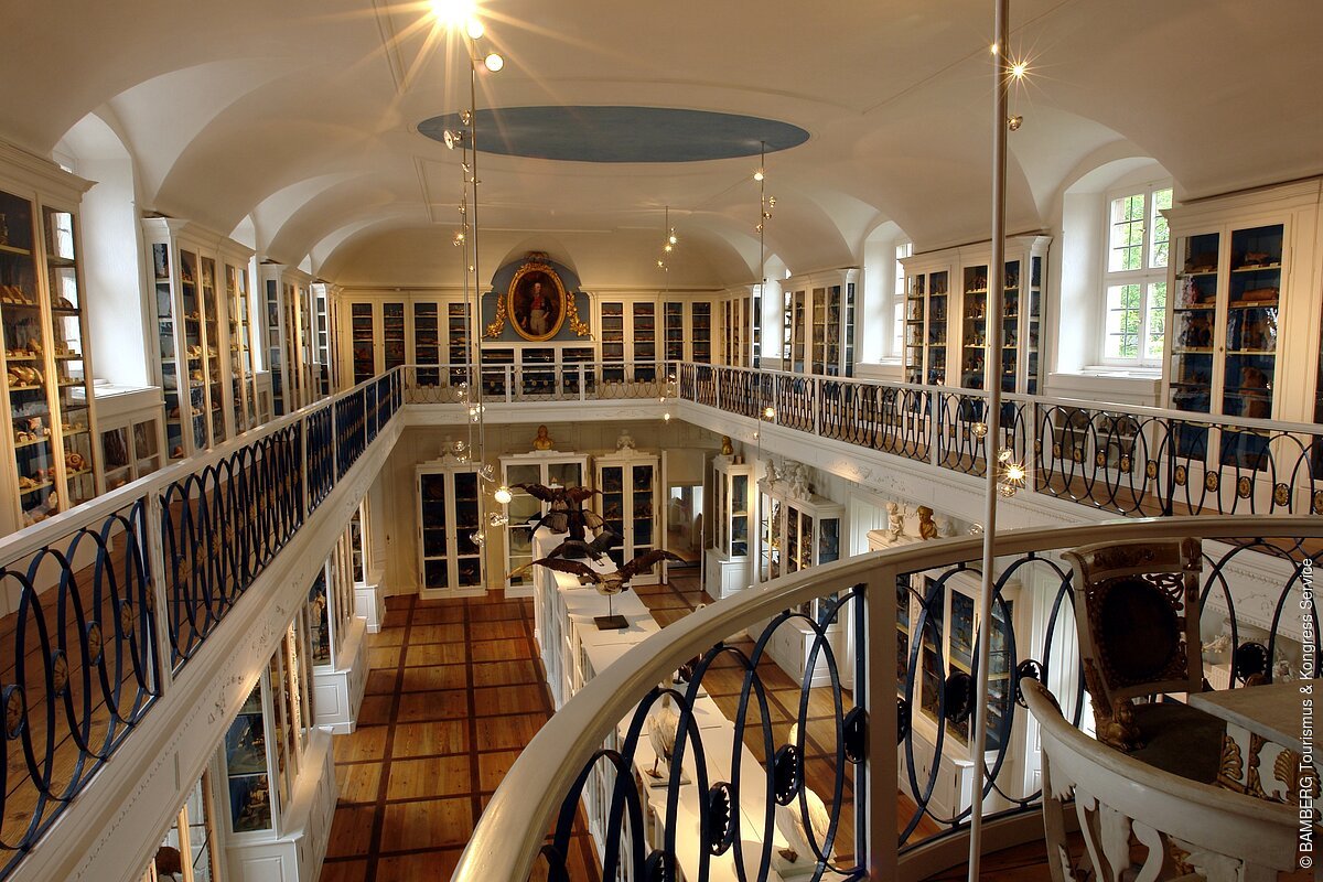 "Vogelsaal" im Naturkundemuseum (Bamberg, Steigerwald)