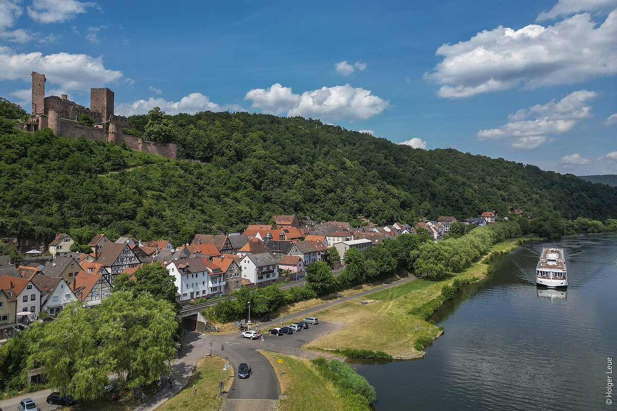 Stadt nsicht (Stadtprozelten, Spessart-Mainland)