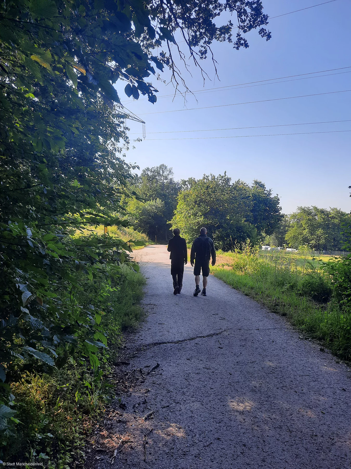 Wandern (Marktheidenfeld, Spessart-Mainland)