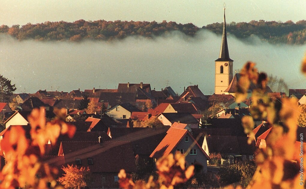 Erleben & Genießen (Sommerach, Fränkisches Weinland)