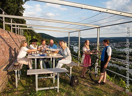 Picknick in den Weinbergen (Spessart-Mainland) Picknick in den Weinbergen